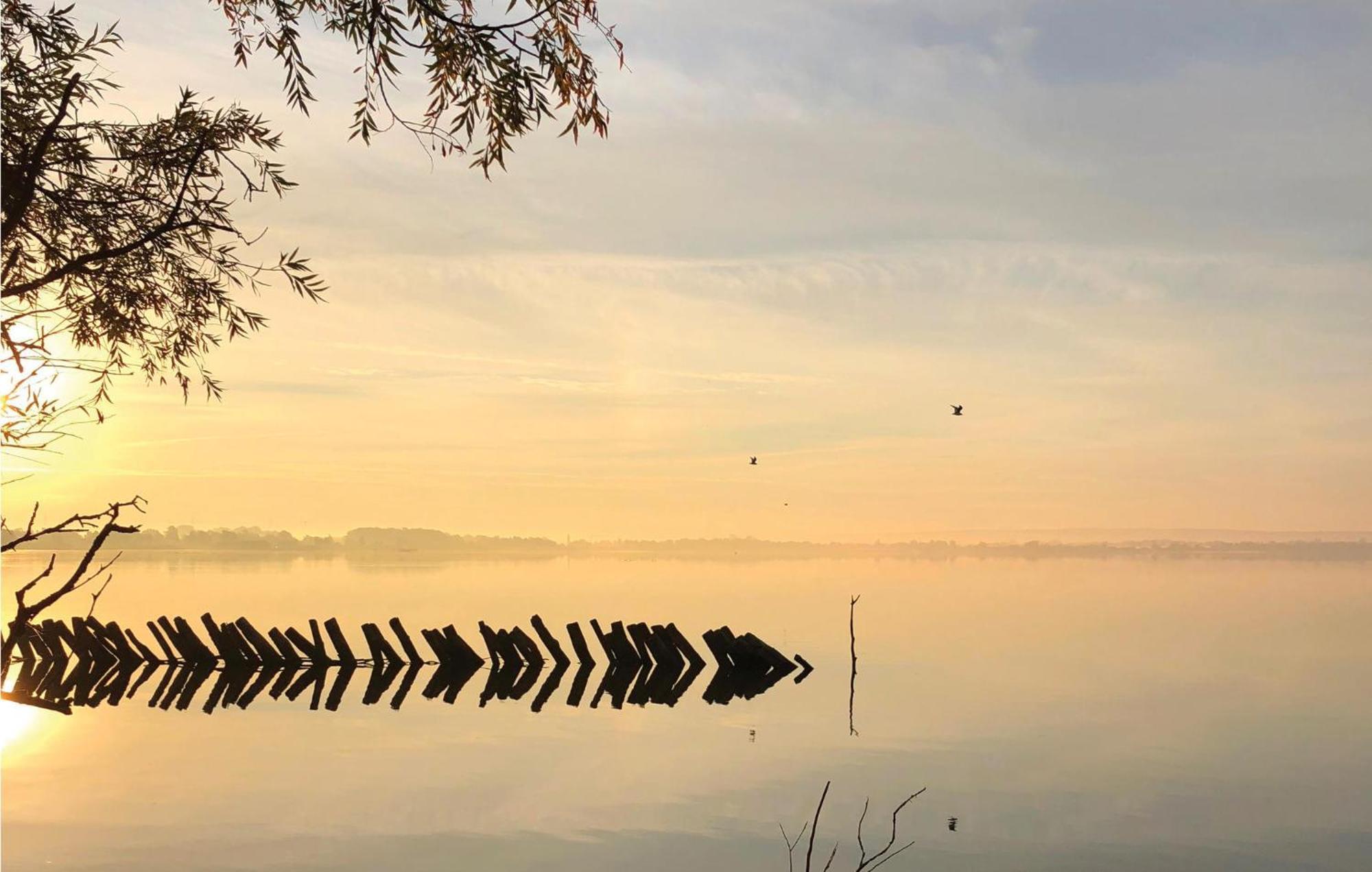 Nice Home In Lembruch-Duemmer See With Sauna 외부 사진